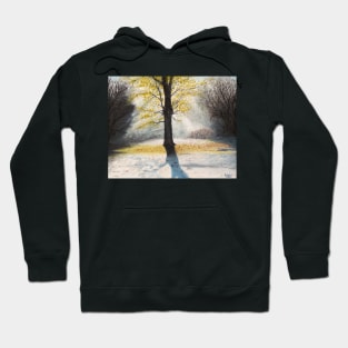 Frosty Glade - New Forest Hoodie